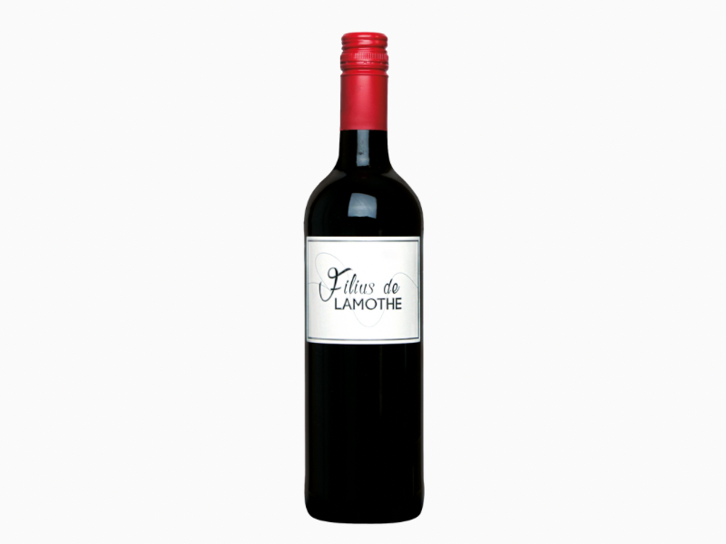 Filius de Lamothe Rouge 2020 - Bordeaux Rouge - 75cl