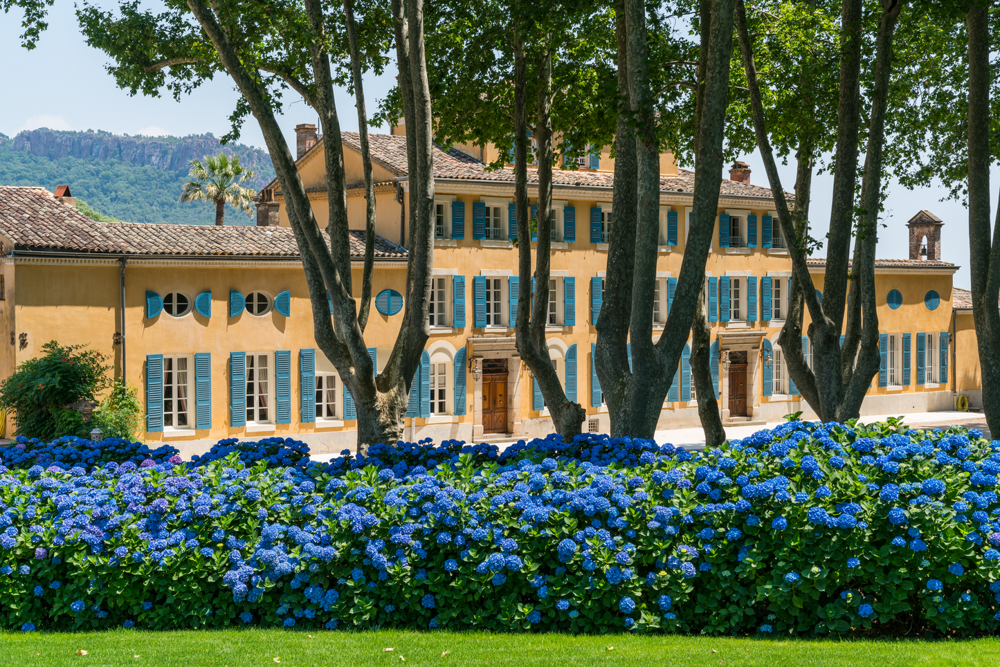 Château D’Esclans 2021 - 75cl