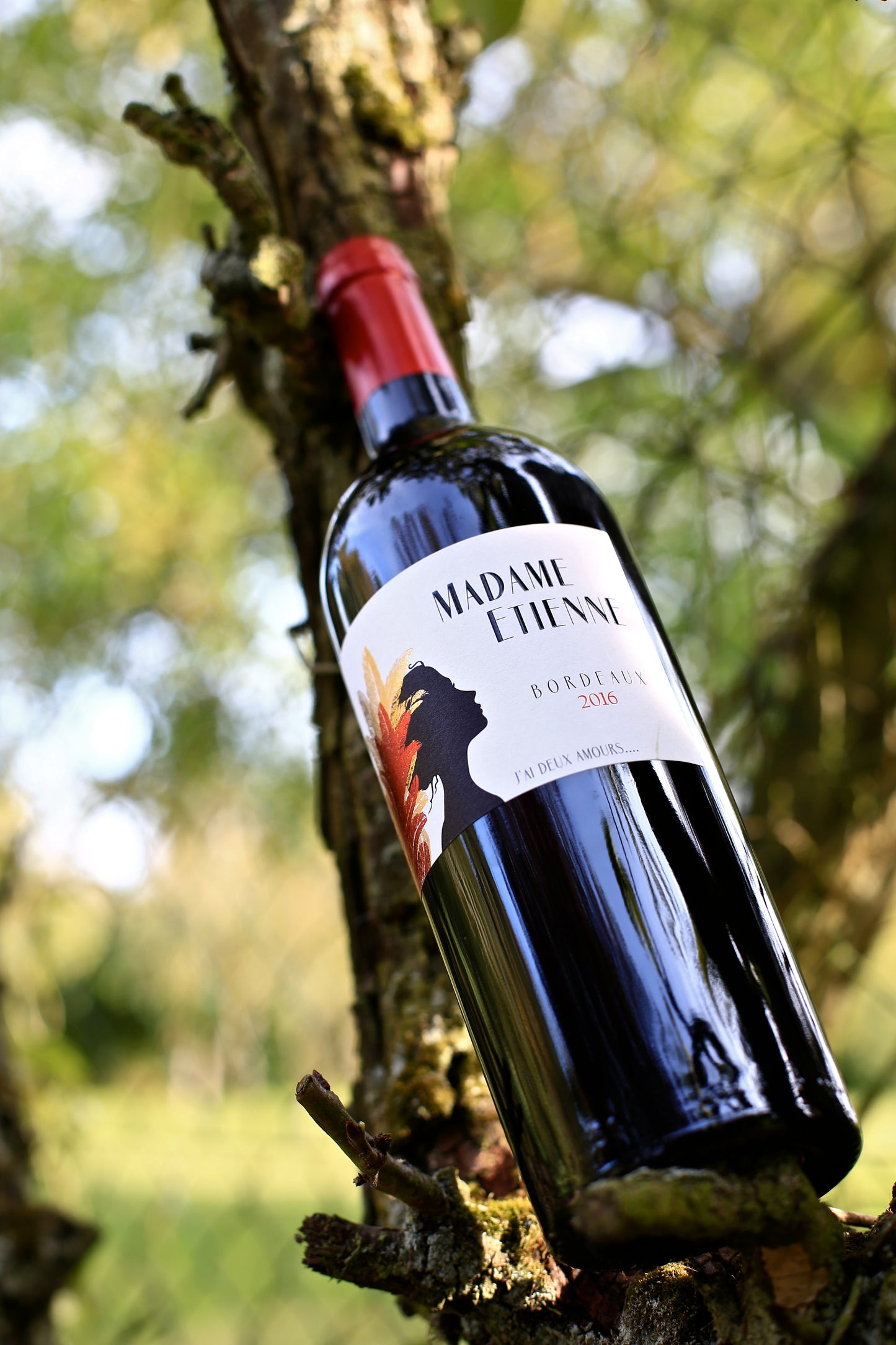 Madame Etienne Rouge 2018 - 75cl