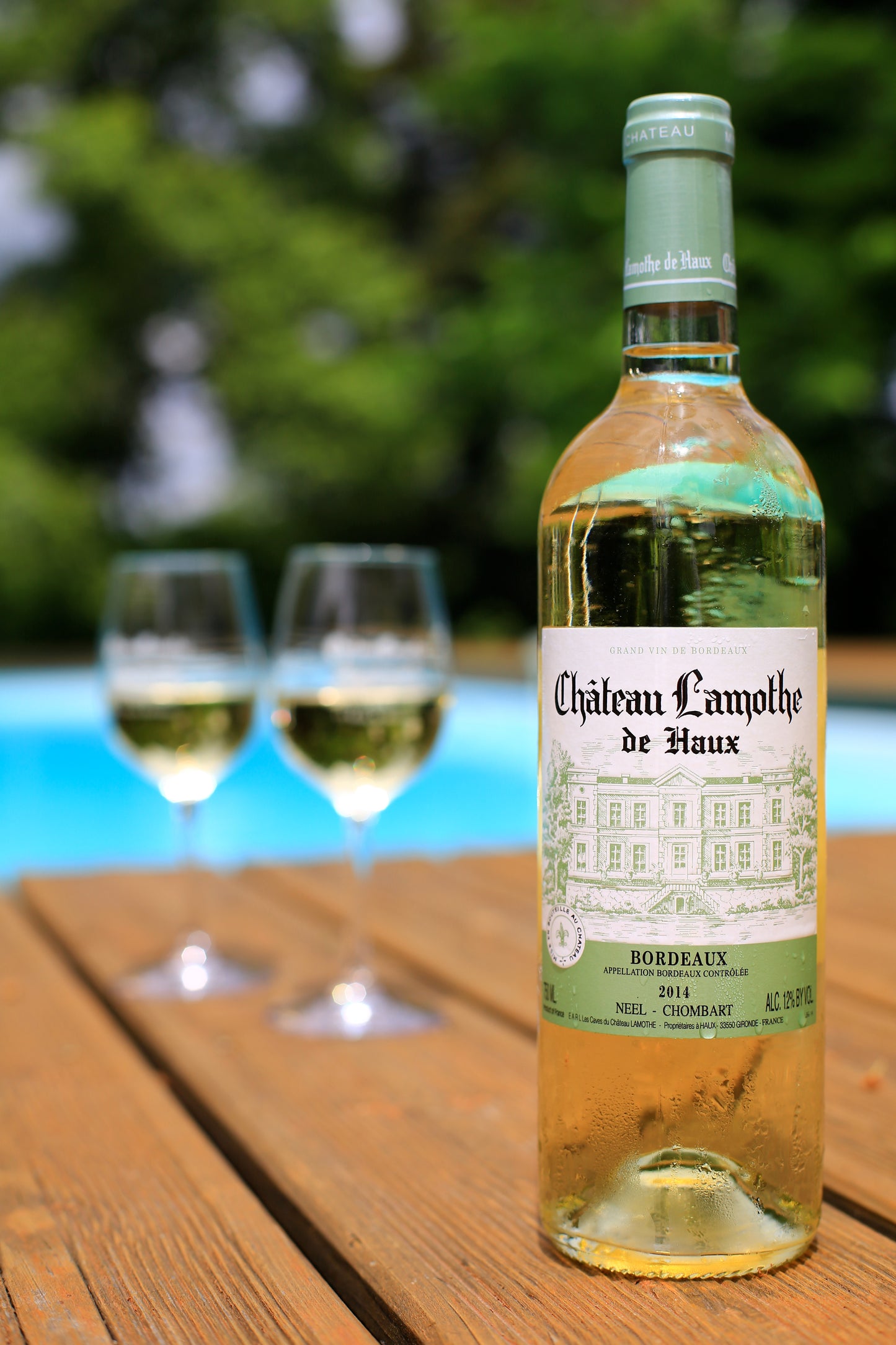 Château Lamothe De Haux Blanc 2024 - 75cl