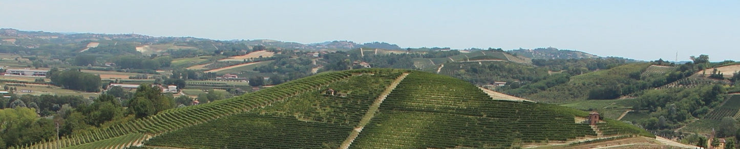 Marco Porello Roero Arneis Camestri 2024 - 75cl