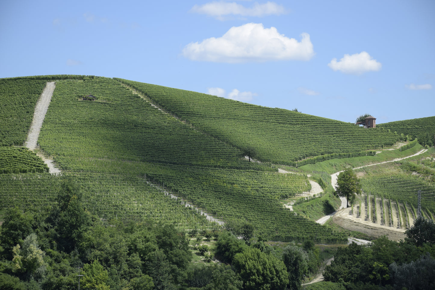 Marco Porello Roero Arneis Camestri 2024 - 75cl