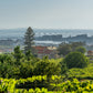 Chaves Albariño Castel de Fornos 2023 - 75cl