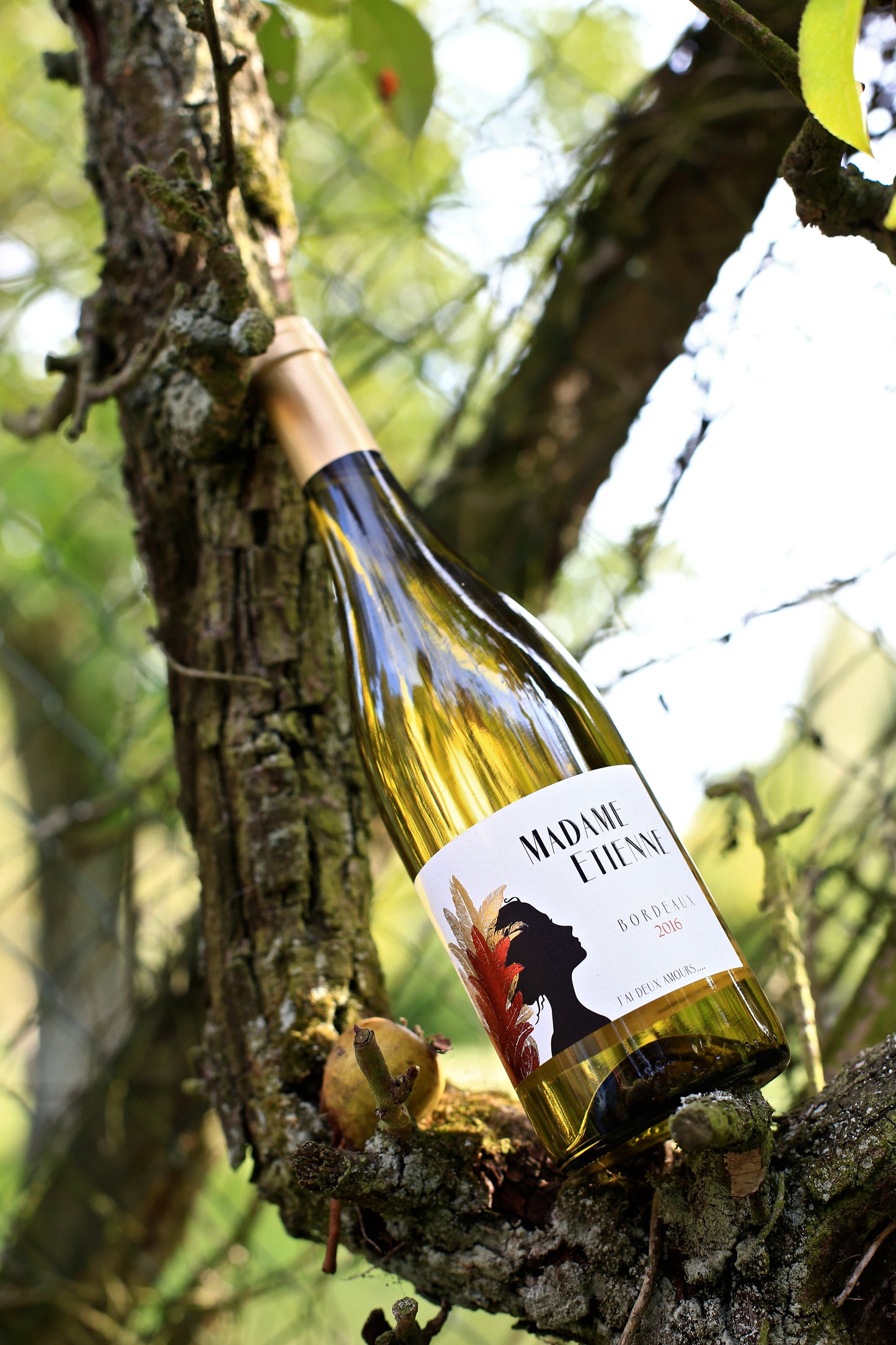 Madame Etienne Blanc 2024 - 75cl