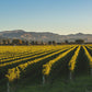 Saint Clair - Vicar’s Choice Sauvignon Blanc 2022/23 - 75cl