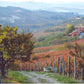 Paolo Manzono Barbera d’Alba Superiore Fioreza 2023 - 75cl