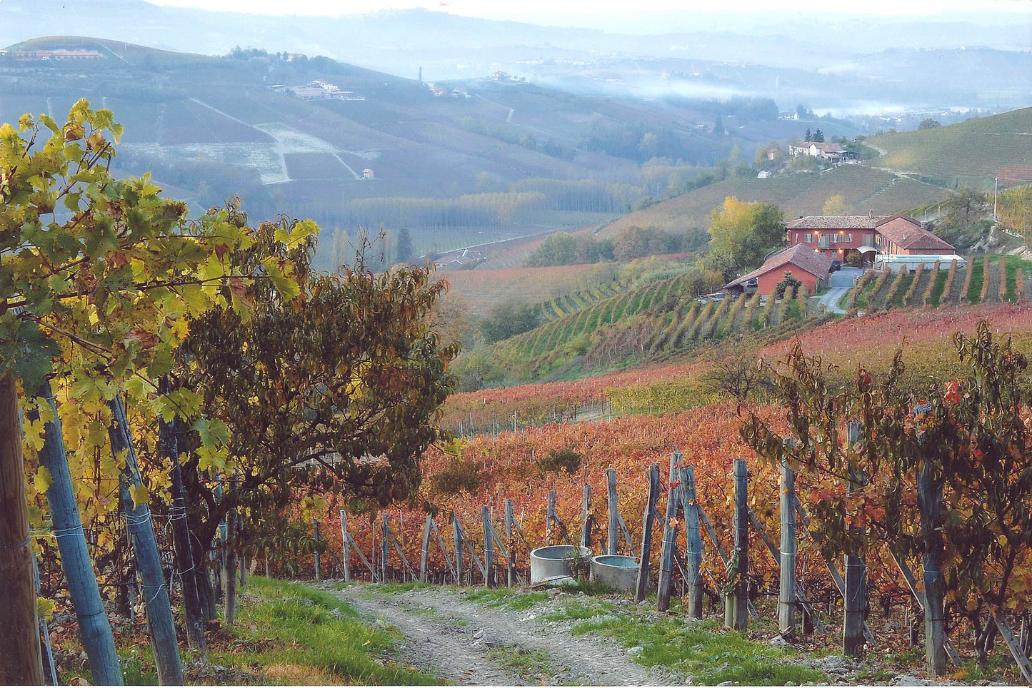 Paolo Manzono Barbera d’Alba Superiore Fioreza 2023 - 75cl