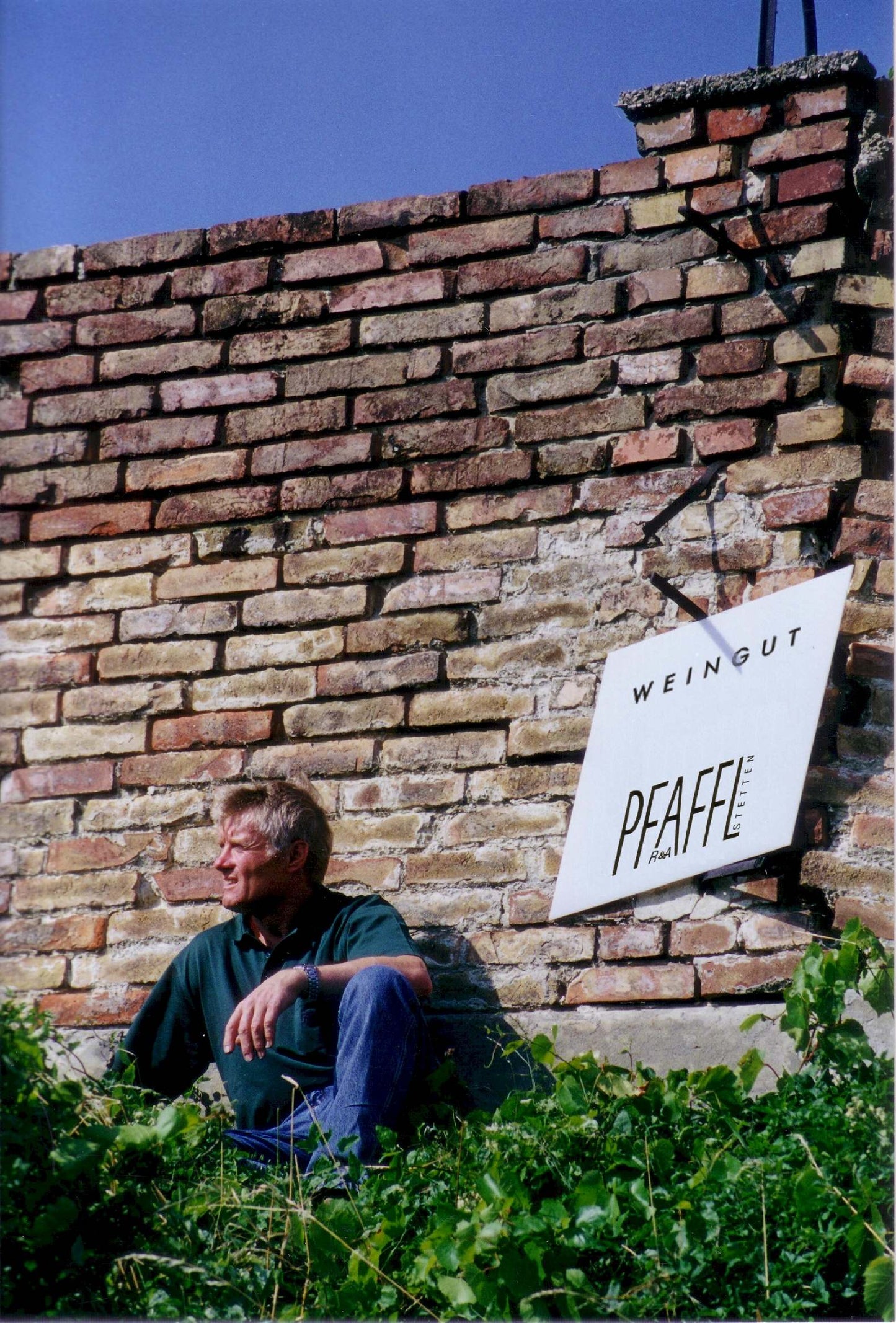 Pfaffl Grüner Veltliner 2024 - 75cl