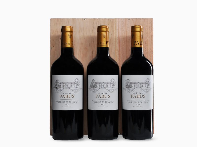 Château Pabus 2016 - 75cl