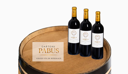 Halve Barrique Bordelaise: 150 x 1 fles Petit Pabus